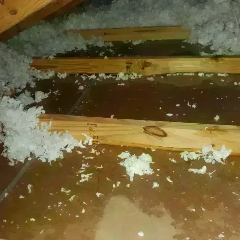 Attic Water Damage in Everson, WA