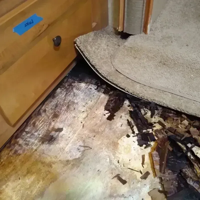 Wood Floor Water Damage in Everson, WA